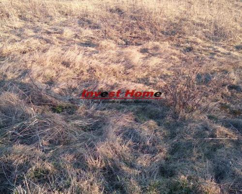 ✅Atrakcyjna działka budowlana Żory Rój ✅