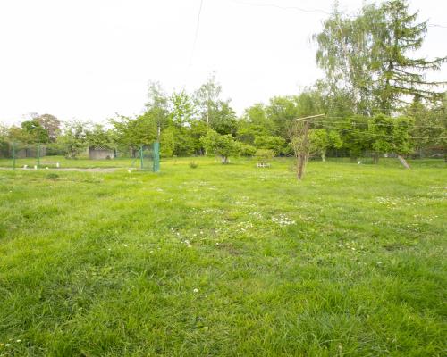 Pół bliźniaka z dużym ogrodem