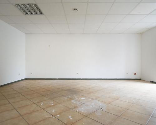 Lokal w samym centrum