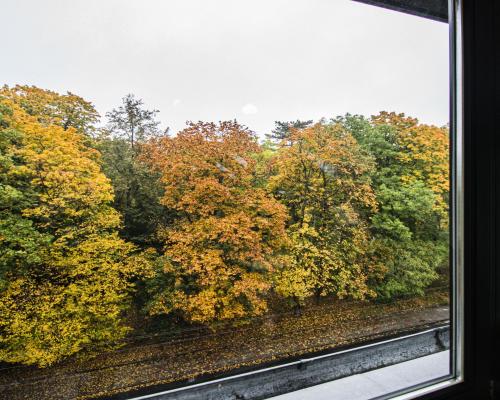 Wyjątkowe mieszkanie z widokiem na park - Świdnica