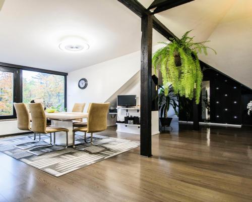 Wyjątkowe mieszkanie z widokiem na park - Świdnica