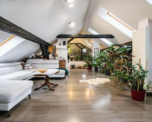 Wyjątkowe mieszkanie z widokiem na park - Świdnica