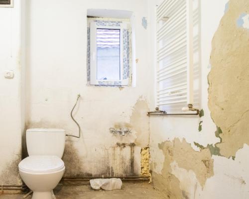 Bezczynszowe 3 pokoje z ogródkiem