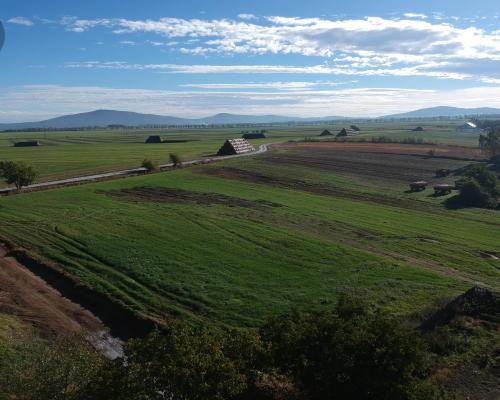 Działki budowlane w Wilkowie