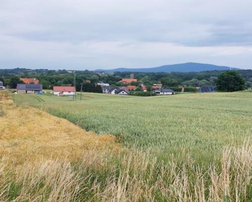 Wierzbna / Działki z widokiem na Ślęże