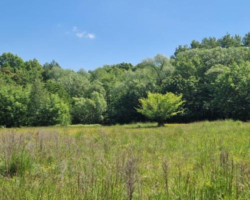 Działka 0,98 Ha możliwość zabudowy