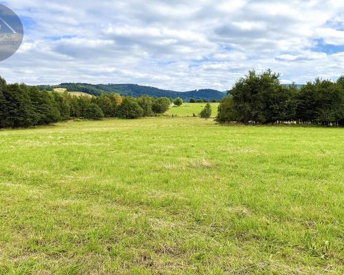 Działka 4025 m² z warunkami zabudowy – Boreczna