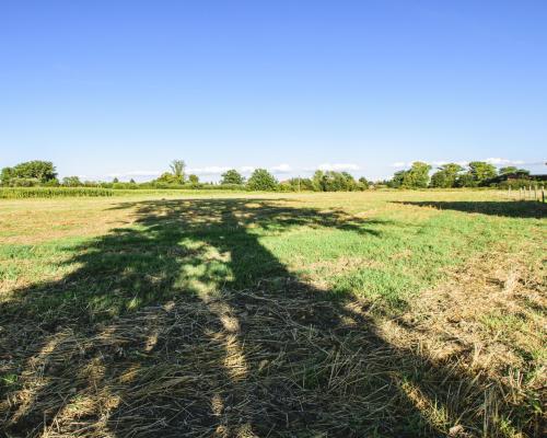 Działka rolno-budowlana / 4631m2 / Mościsko