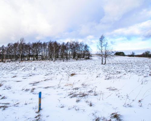 Malowniczo położone działki rekreacyjne/Michałkowa