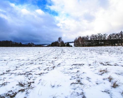 Malowniczo położone działki rekreacyjne/Michałkowa
