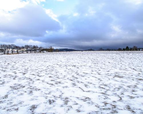 Malowniczo położone działki rekreacyjne/Michałkowa