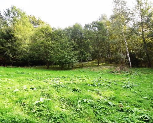 Piękna działka na sprzedaż