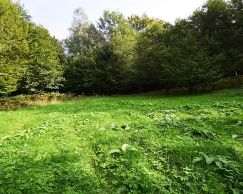 Piękna działka na sprzedaż