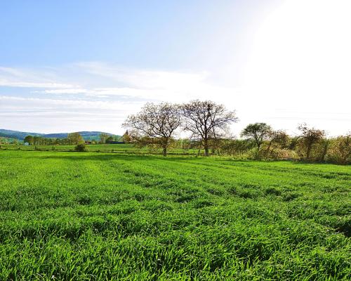 Działka w spokojnej okolicy