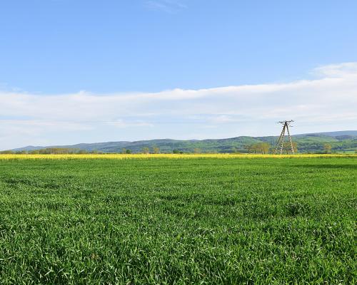 Działka w spokojnej okolicy