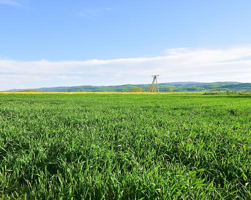 Działka w spokojnej okolicy