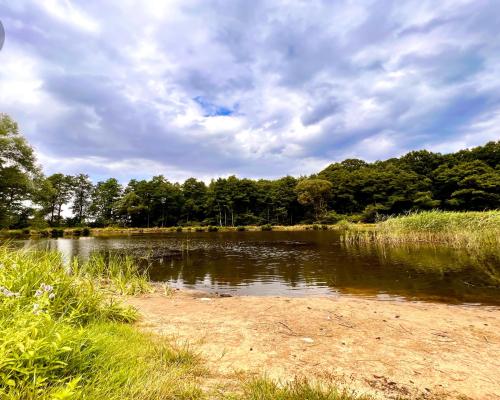 Zaczarowane miejsce 3ha