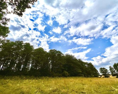 Zaczarowane miejsce 3ha