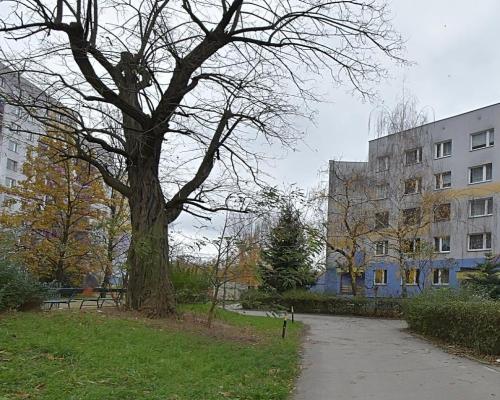 Ciche 2 pokoje z oddzielna kuchnią