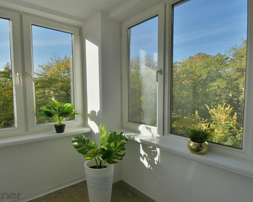 Mieszkanie 3-pokojowe przy parku, Hallera