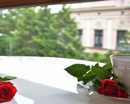 Piękne mieszkanie w samym centrum, Księcia Witolda