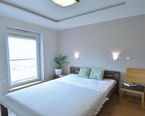 Olimipia port - 3 pokoje z klimatyzacją na wynajem