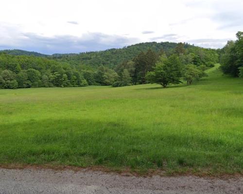 Działka widokowa, budowlana, Wilcza, gm. Kłodzko