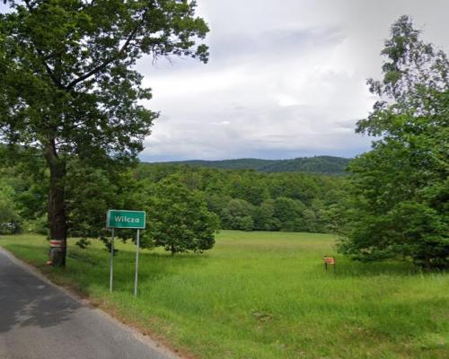 Działka widokowa, budowlana, Wilcza, gm. Kłodzko