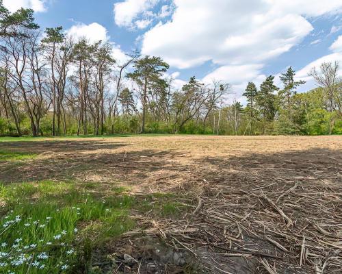 Wyjątkowy teren przy lesie. Idealne pod Twój dom.
