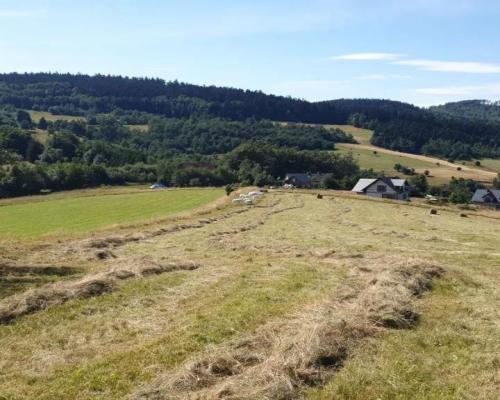 Działka w Górach Sowich