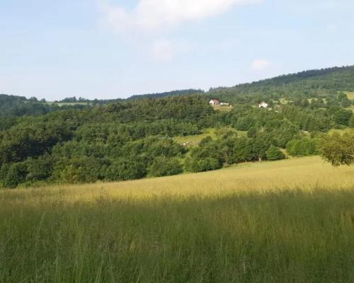 Działka w Górach Sowich