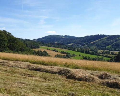 Działka w Górach Sowich