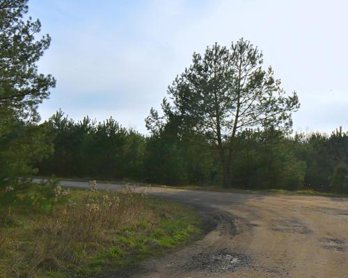 Piękna działka blisko lasu, Miłoszyce