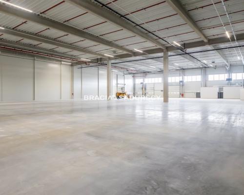 Nowoczesna hala wysokiego składowania z dokami