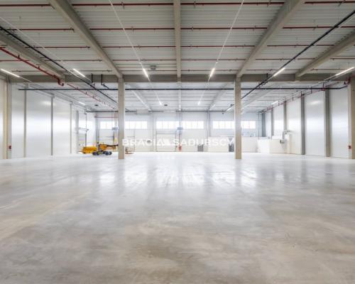 Nowoczesna hala wysokiego składowania z dokami