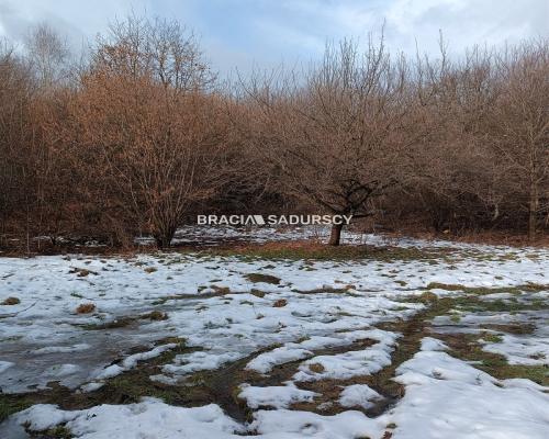 Duża działka inwestycyjna  w Czarnochowicach