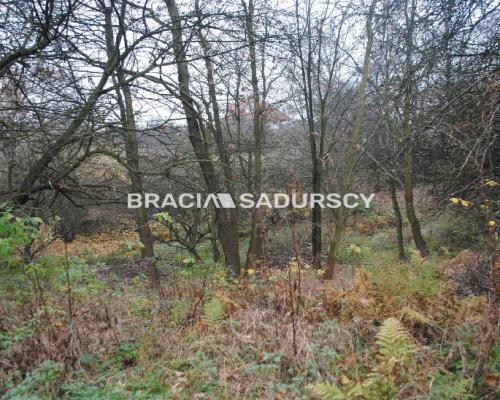 Do sprzedania nieruchomość o powierzchni ponad 1,7 ha  w miejscowości Libertów gm.Mogilany, Według aktualnego planu zagospodaro