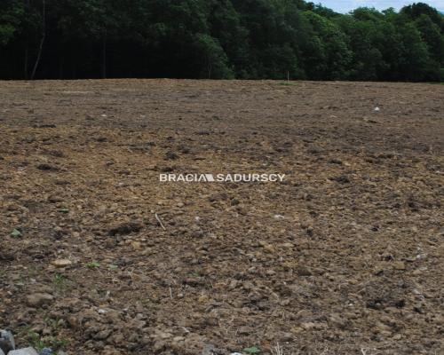 Działka budowlano-rolno-leśna w Jankówce