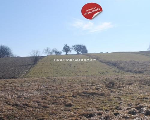 Duża działka budowlano-rolna w Bodzanowie