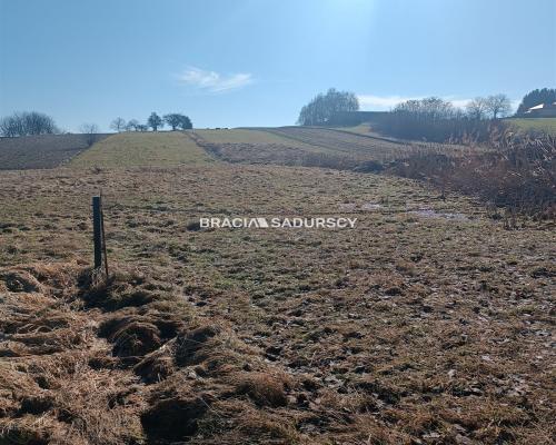 Duża działka budowlano-rolna w Bodzanowie