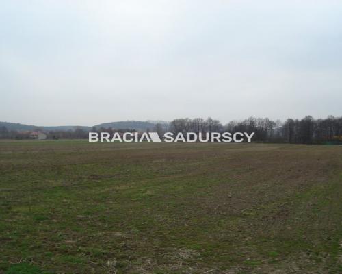 *Zdjęcia należą do właściciela oferty.   
 
Działka inwestycyjna 100 arowa leżąca na terenie przemysłowym w Morawicy. Media: ka