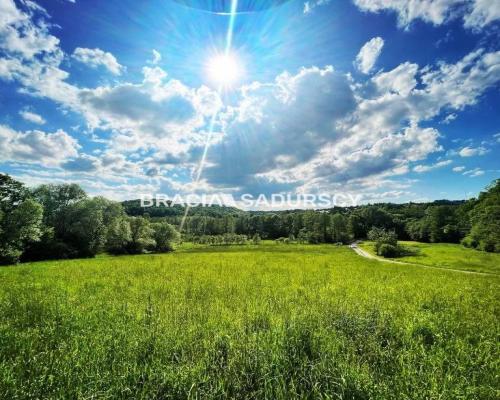 Działka  pod lasem koło Wieliczki