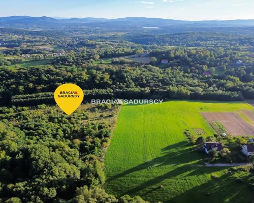 Duża działka z potencjałem inwestycyjnym – 2,52 ha