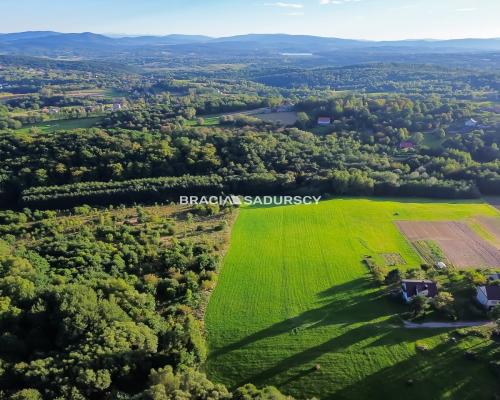 Duża działka z potencjałem inwestycyjnym – 2,52 ha