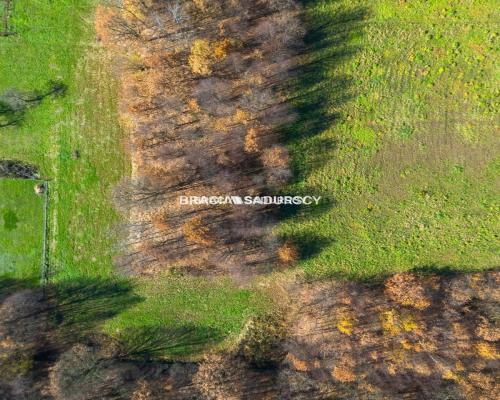 Działki z widokiem na las Leńcze Gm. Kalwaria