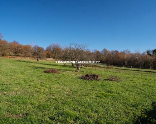 Działki z widokiem na las Leńcze Gm. Kalwaria