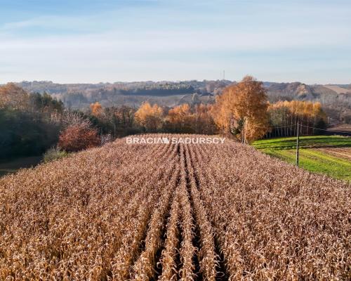 Działka budowlana / MPZP - MN3 / Przesławice