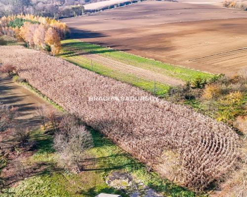 Działka budowlana / MPZP - MN3 / Przesławice