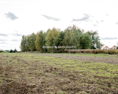 Działka budowlana / 25 ar / płaska / Cholerzyn