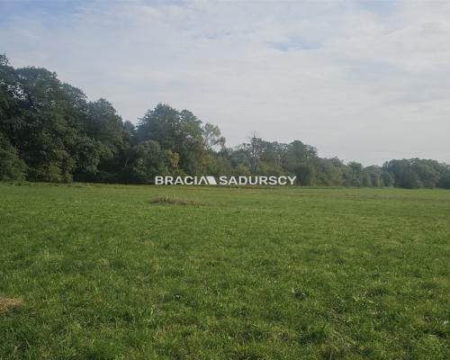Wyjątkowa działka budowlana w zielonym Cholerzynie